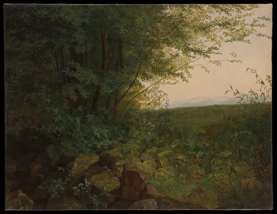 At the Edge of the Forest by August Heinrich