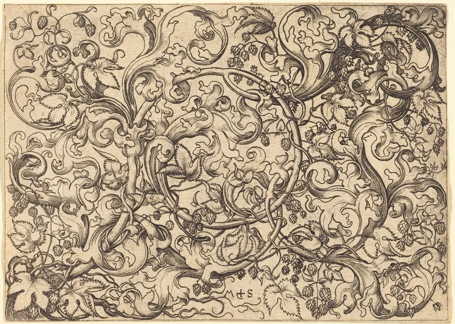 Ornament with Hop Vine by Martin Schongauer
