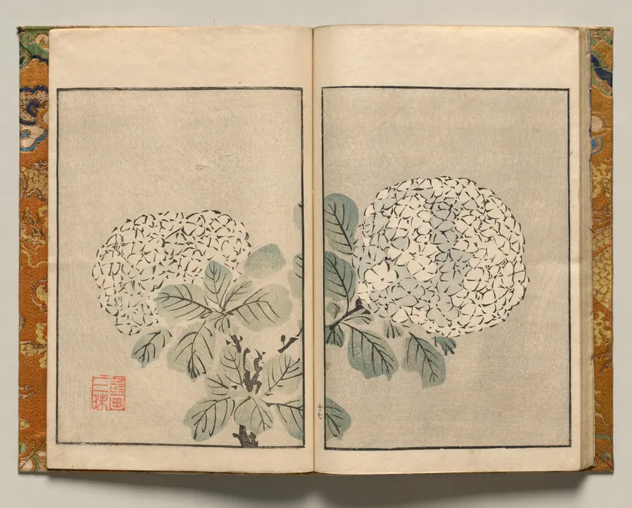 Hydrangea, Design Seventeen from Shazanrō Picture Book by Tani Bunchō
