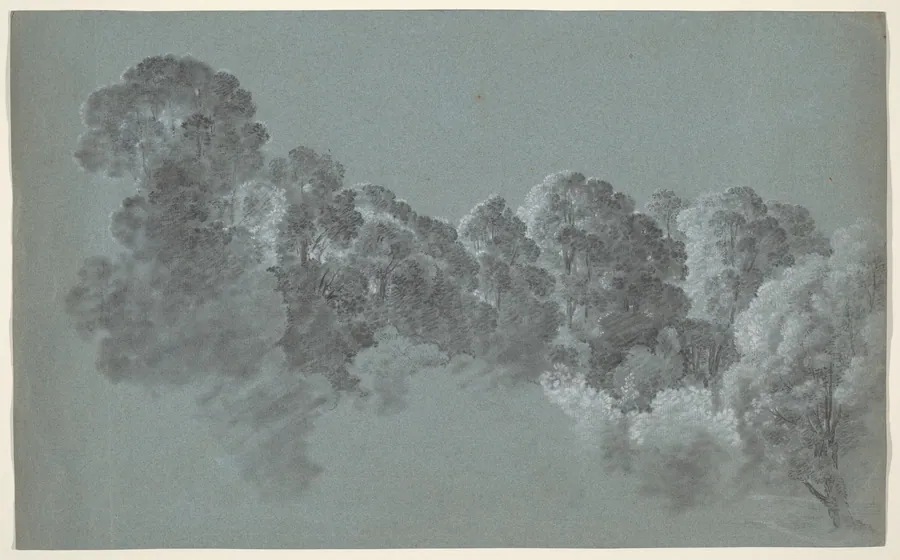 Forest Treetops Struck by Light by Heinrich Rieter