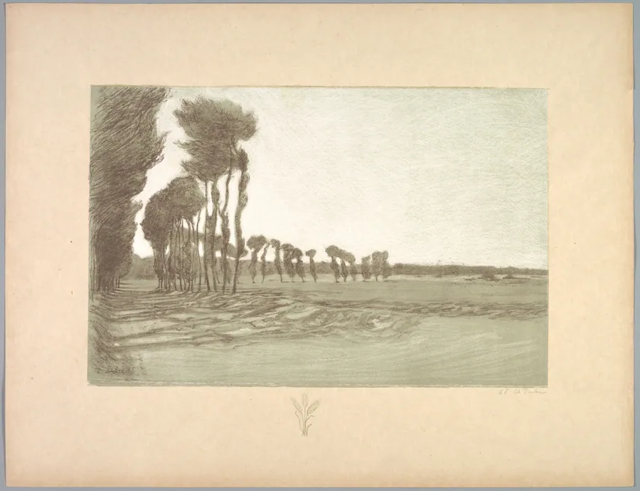 Suite de Paysages: Landscape,  Plate 5, Remarque, Three Stalks of Wheat by Charles Marie Dulac