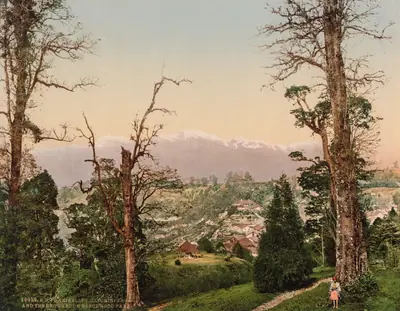 Darjeeling. Kinchinjunga and the Snows from Beechwood Park