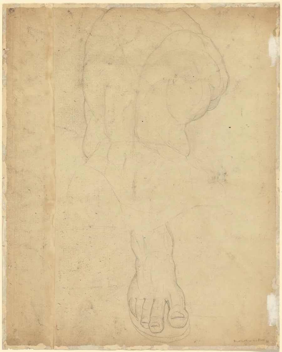 The Belvedere Torso [verso] by William Blake