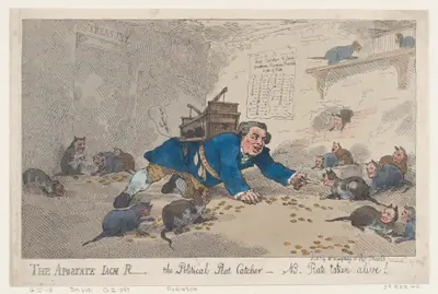 The Apostate Jack Robinson, The Political Rat Catcher–N.B. Rats Taken Alive!