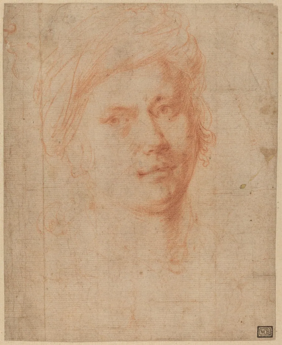 Head of a Youth by Alessandro Allori
