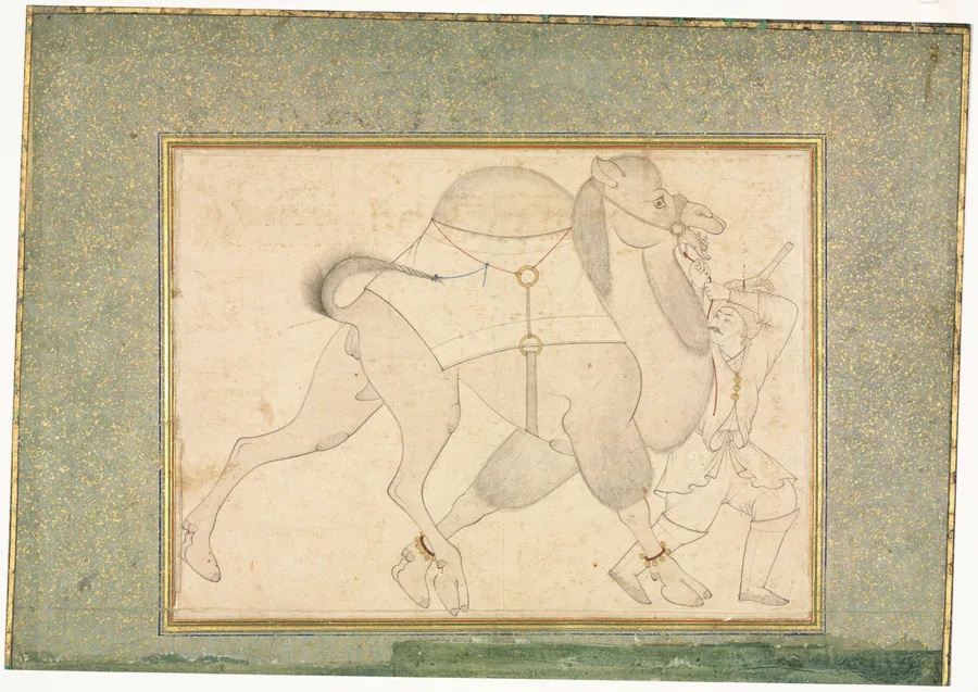 Camel and Groom; Single Page Illustration by Shaykh Muhammad