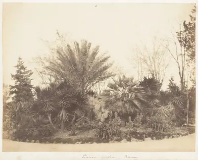 Pincian Garden, Rome