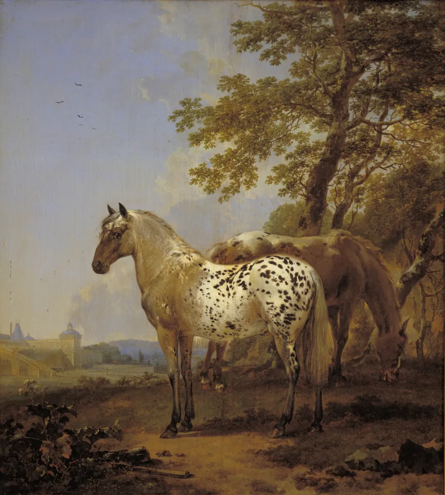 To heste i et landskab by Nicolaes Berchem