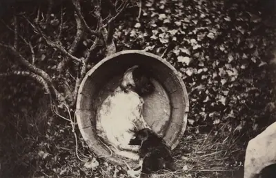 Dog and Puppy in Barrel