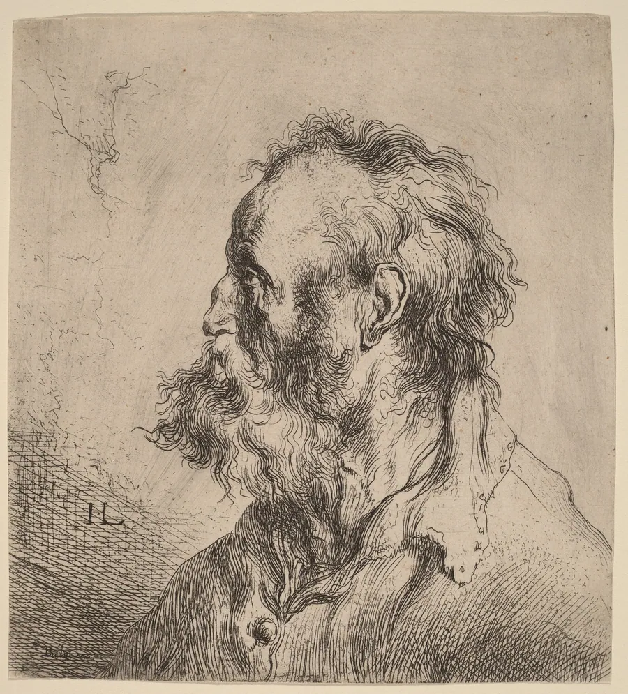 Bust of a Bearded Old Man by Jan Lievens