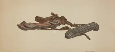 Snow Skates