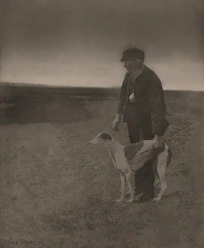 The Poacher-A Hare in View