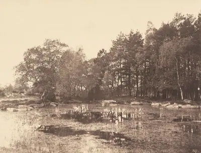 Marsh at Piat (Belle-Croix Plateau)