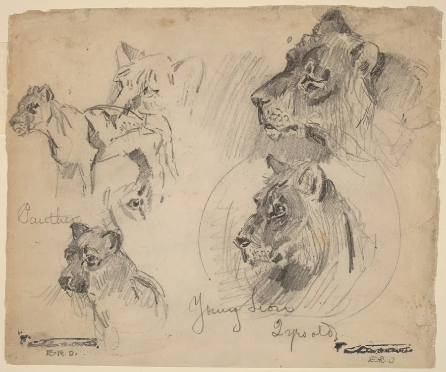 Panther and Young Lion Studies by Arthur B. Davies
