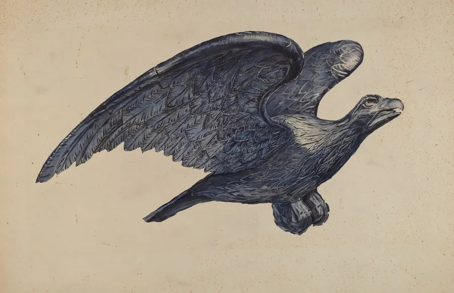 Eagle by Elisabeth Fulda