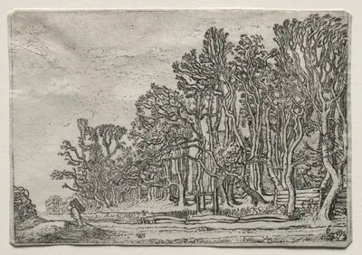 The Set of the Landscapes: Two Plank-Hedges