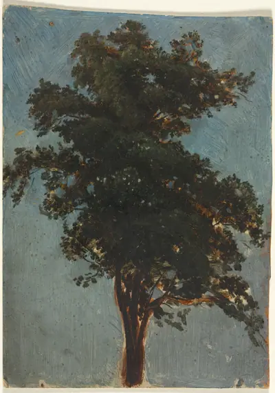 Tree Study