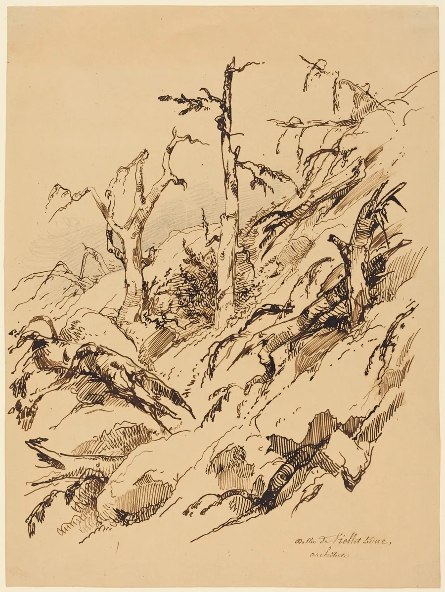 A Rocky Hillside with Dead and Dying Trees by Adolphe Etienne Viollet-Le-Duc II