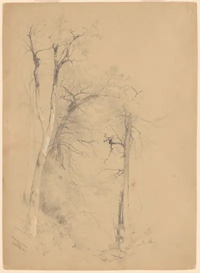 Kauterskill Clove