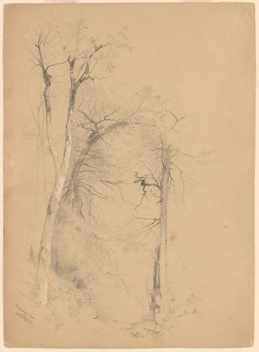 Kauterskill Clove by Jervis McEntee