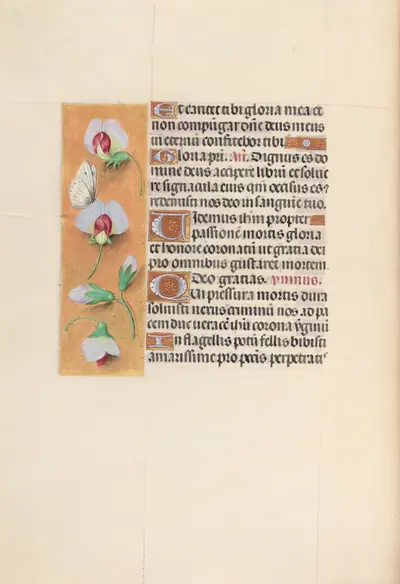 Hours of Queen Isabella the Catholic, Queen of Spain: Fol. 74v