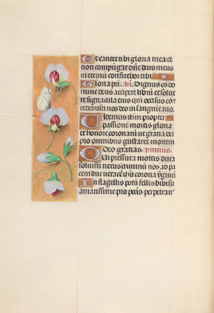 Hours of Queen Isabella the Catholic, Queen of Spain:  Fol. 74v by Master of the First Prayerbook of Maximillian