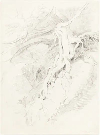 The Yew at Clifton