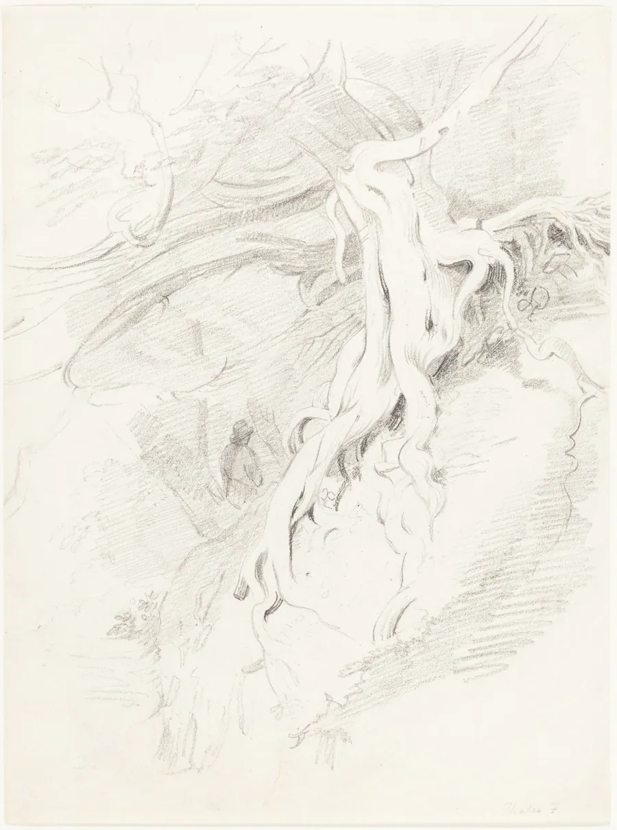The Yew at Clifton by Thales Fielding