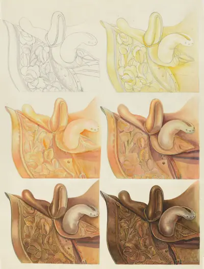 Saddle (Technique Demonstration)