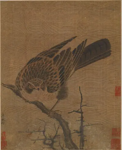 Hawk on a leafless branch