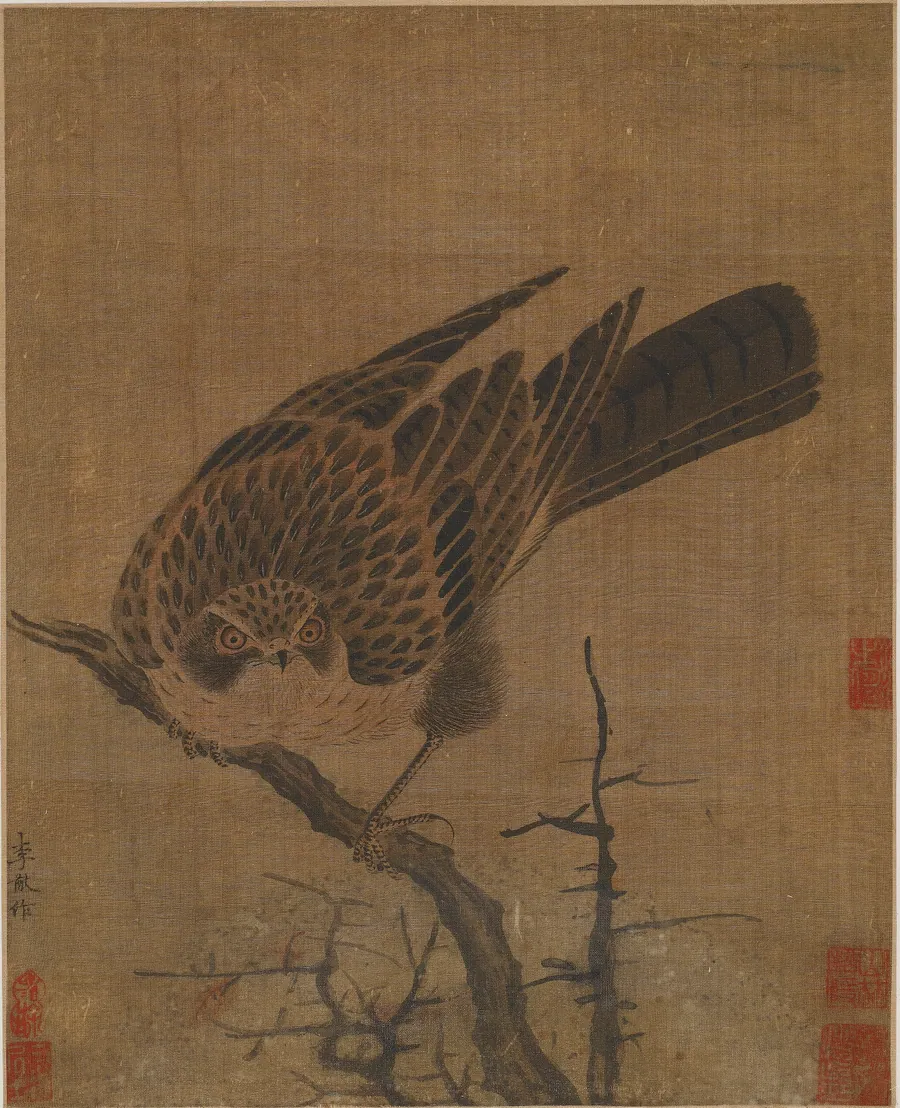 Hawk on a leafless branch by Formerly attributed to Li You (11th or 12th century)