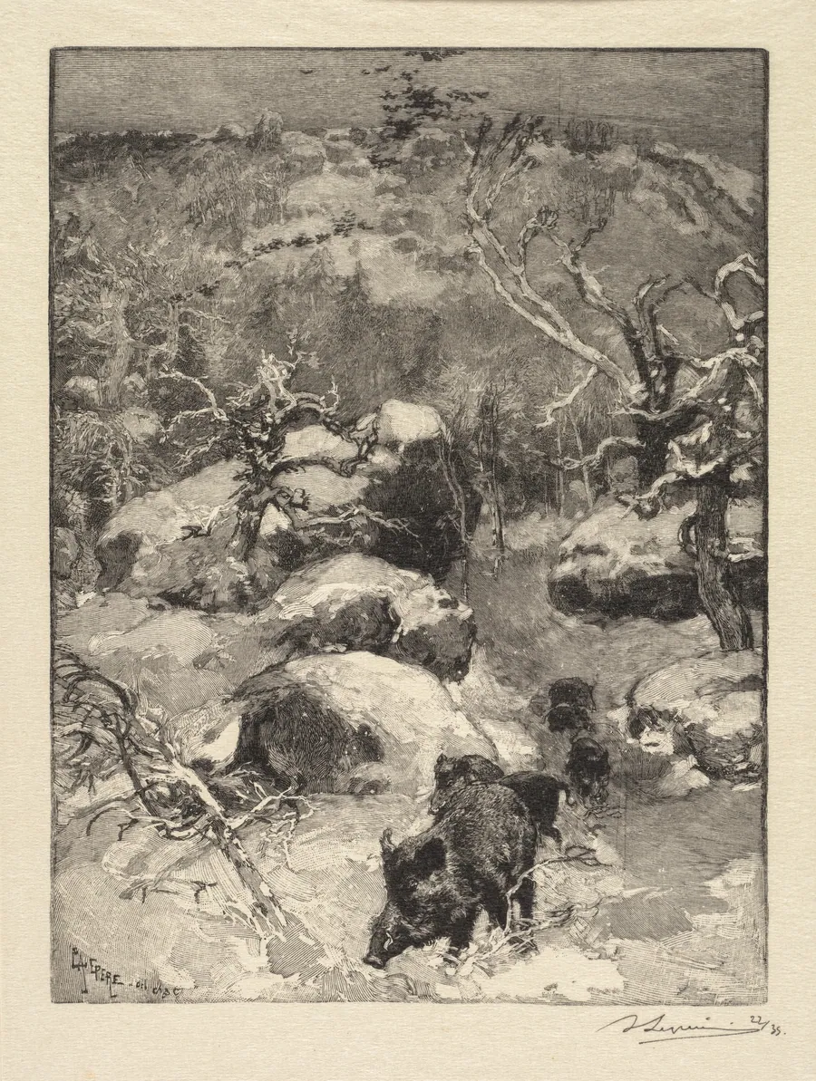 Fontainebleau Forest: Cuvier-Châtillon Cliff by Auguste Louis Lepère