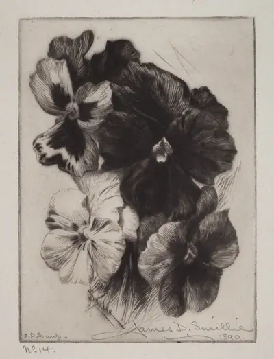 A Bunch of Pansies