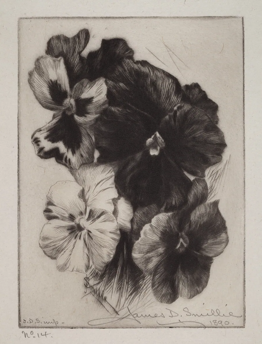A Bunch of Pansies by James David Smillie