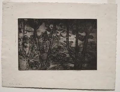 Trees at Night