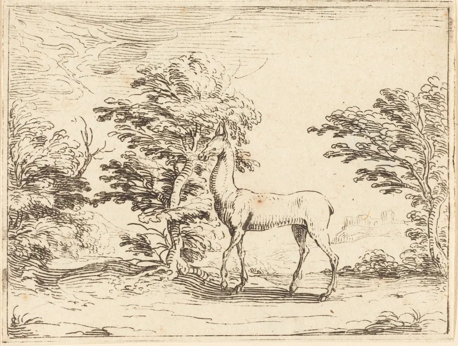 The Doe by Jacques Callot