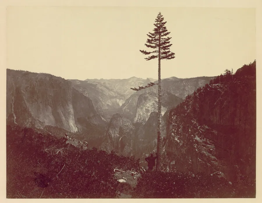 Yosemite Valley from Mariposa Trail by Charles Leander Weed