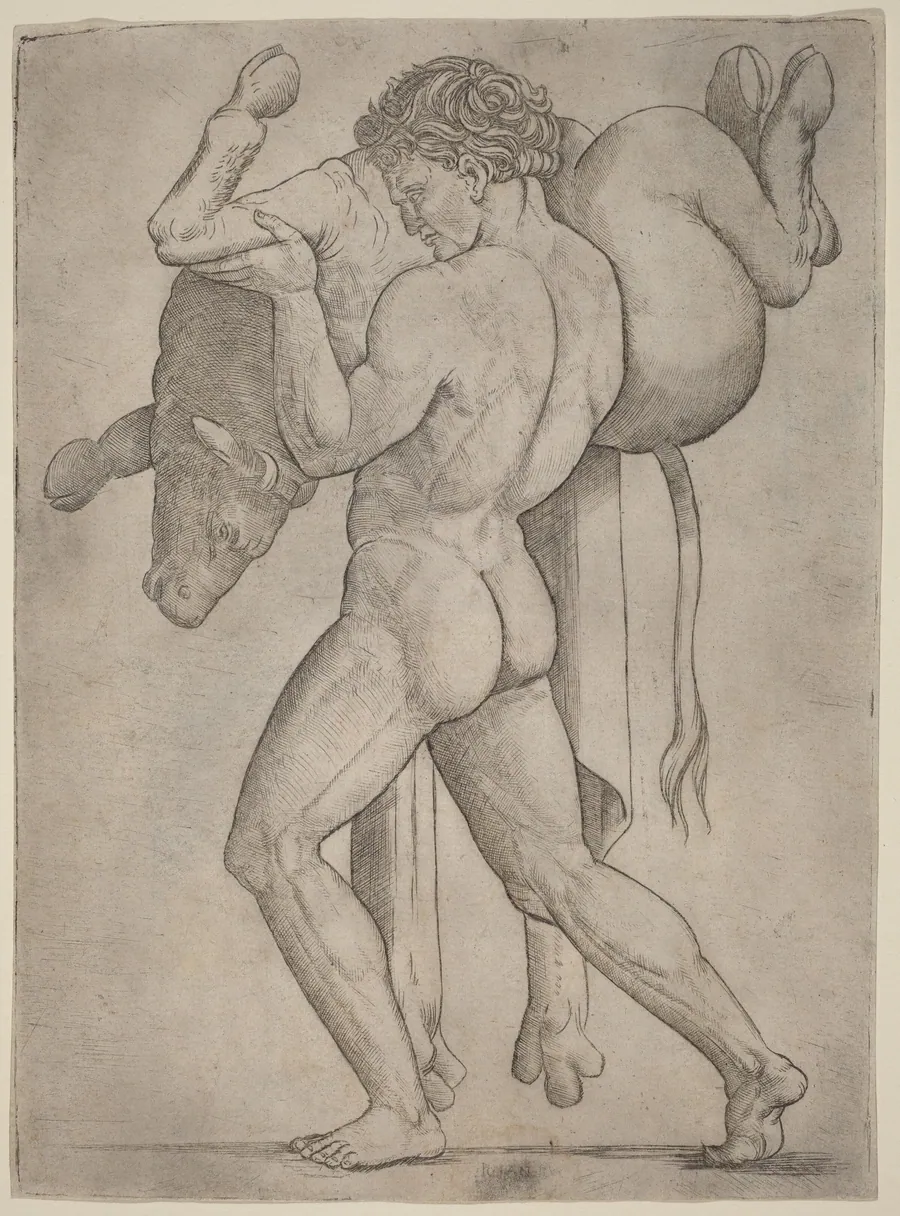 Hercules and the Cretan Bull by Giovanni Antonio da Brescia