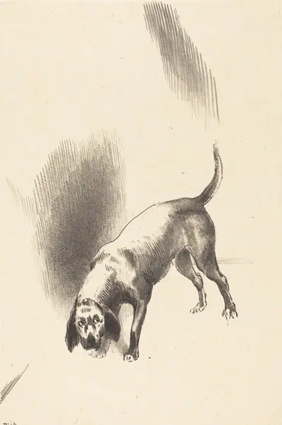 The Dog