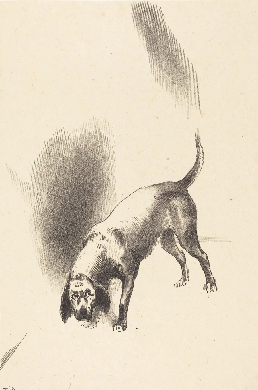 The Dog by Odilon Redon