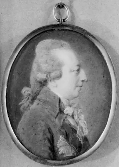Lensgreve Johan Henrik Knuth Knuthenborg, Geheimraad, Stiftamtmand