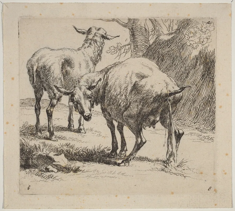 Two Sheep, One Pissing by Nicolaes Pietersz Berchem