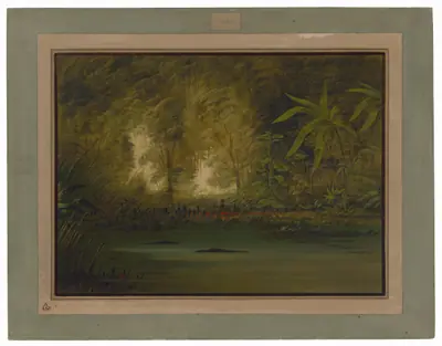A Lagoon of the Upper Amazon