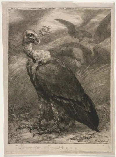 Vulture
