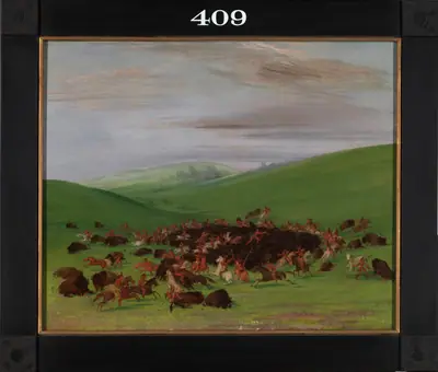 Buffalo Chase, a Surround by the Hidatsa