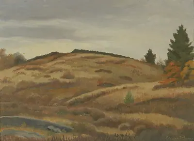 Autumn Fields