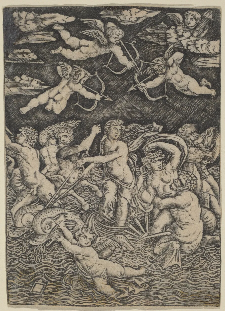 The Triumph of Galatea by Peregrino da Cesena