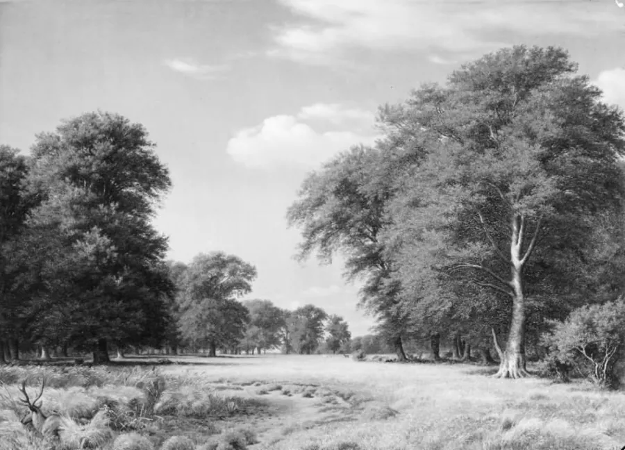 En sommerdag i Dyrehaven by P.C. Skovgaard
