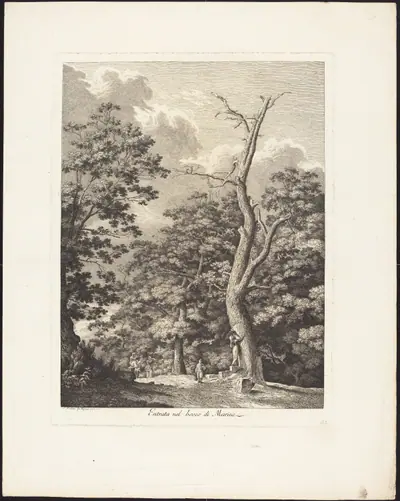 Entrata nel bosco di Marino
