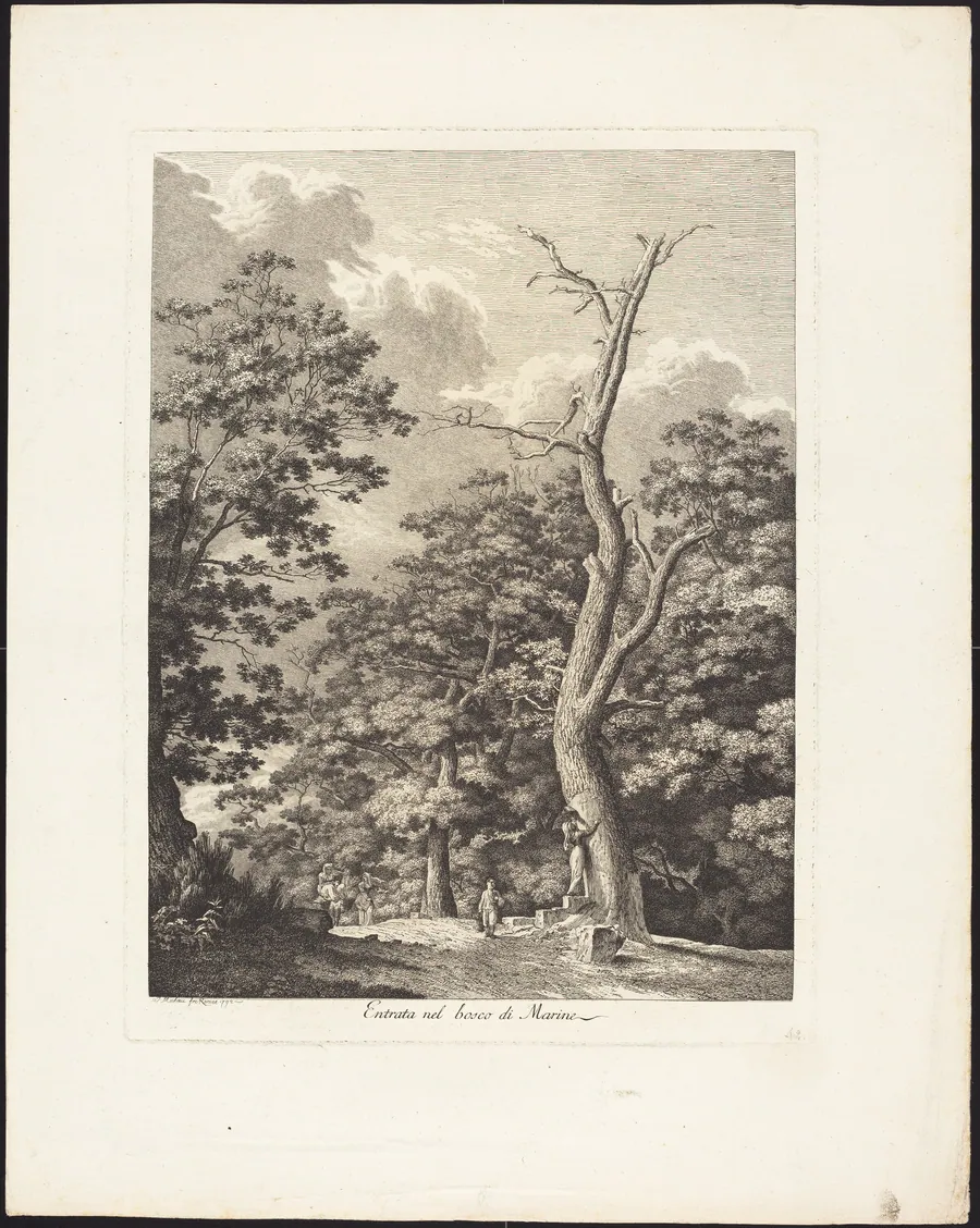 Entrata nel bosco di Marino by Jacob Wilhelm Mechau